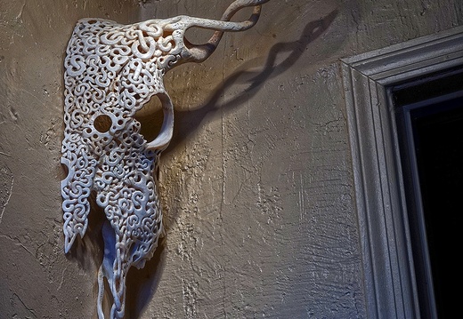 skullcarving available buffalo