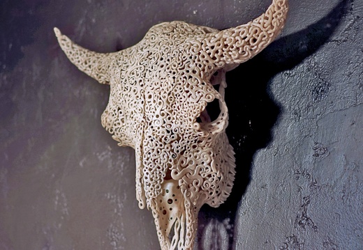skullcarving available buffalo bigwithlights
