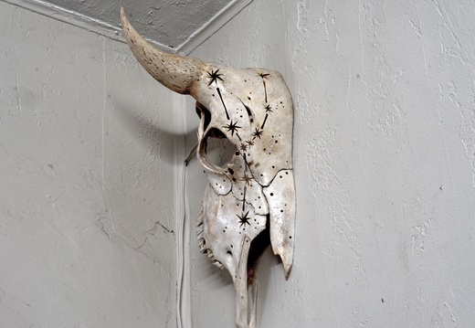 skullcarving available buffalo lightoff