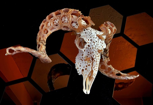 skullcarving available ram