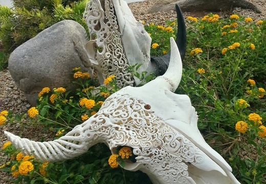 skullcarving sold buffalo 2