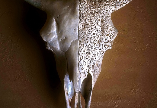 skullcarving sold buffalo 3