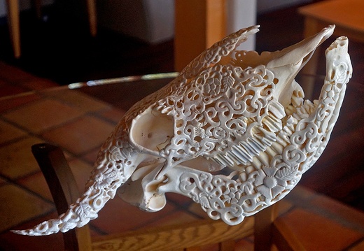 skullcarving sold buffalo jaw