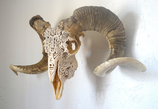 skullcarving sold ram