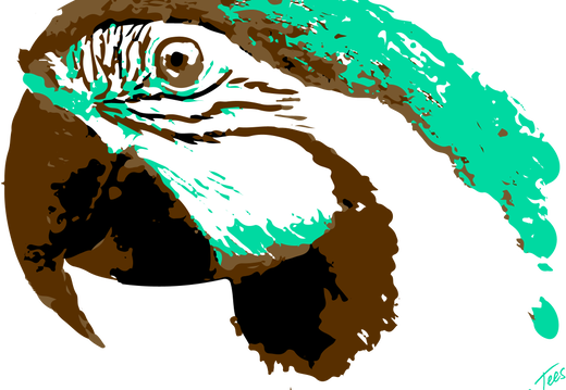 05