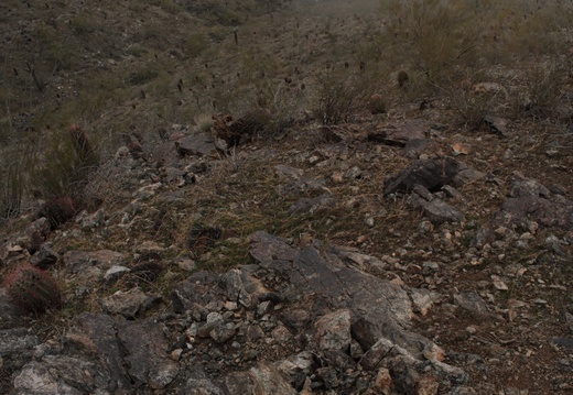 Untitled Panorama3