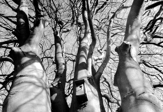 Untitled-331