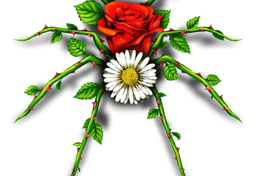 bwspiderroseFILTER1