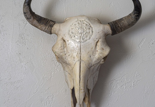 flower small skullcarving